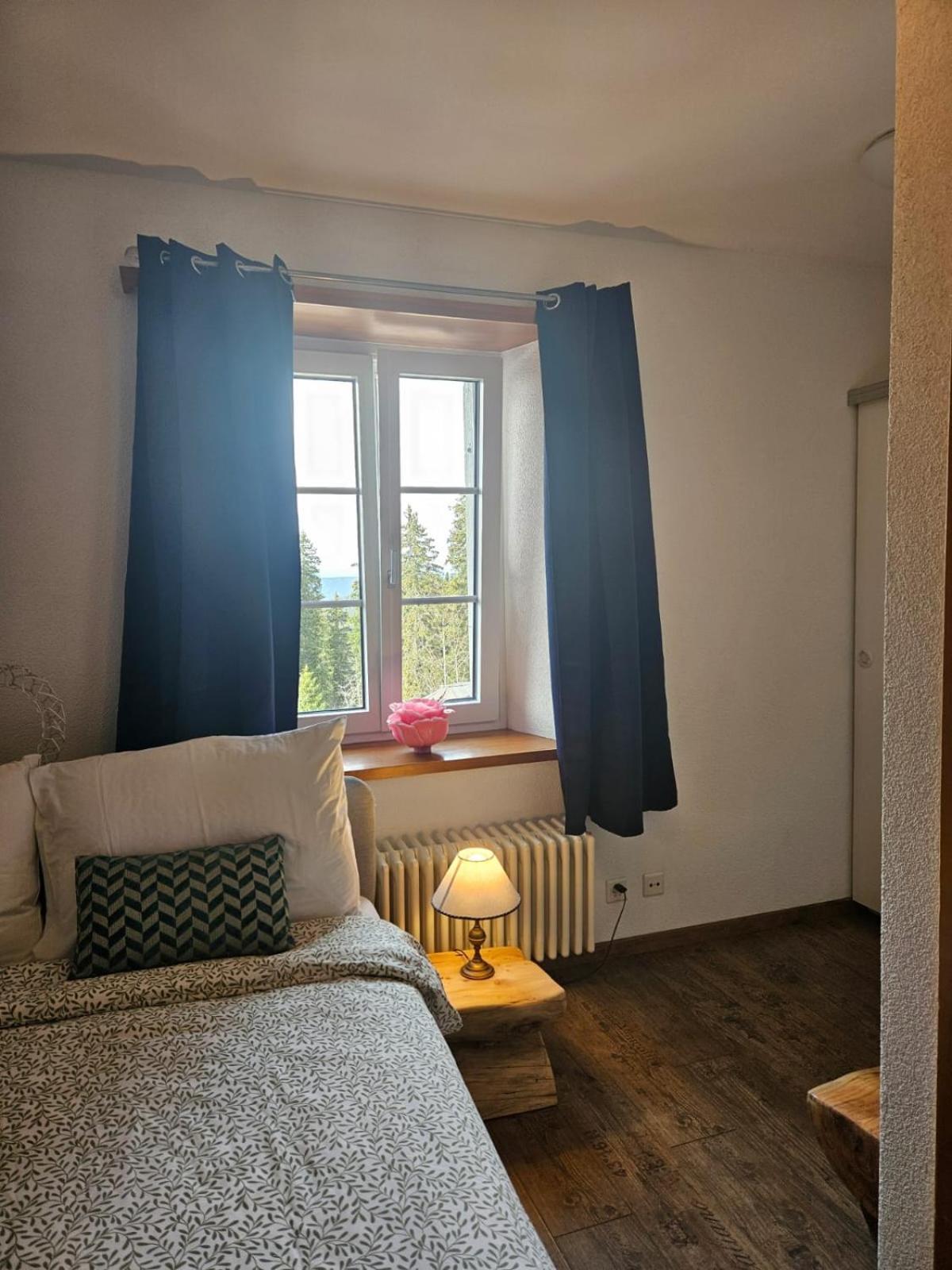Hotel Restaurant Du Marchairuz ル・ブラシュ エクステリア 写真
