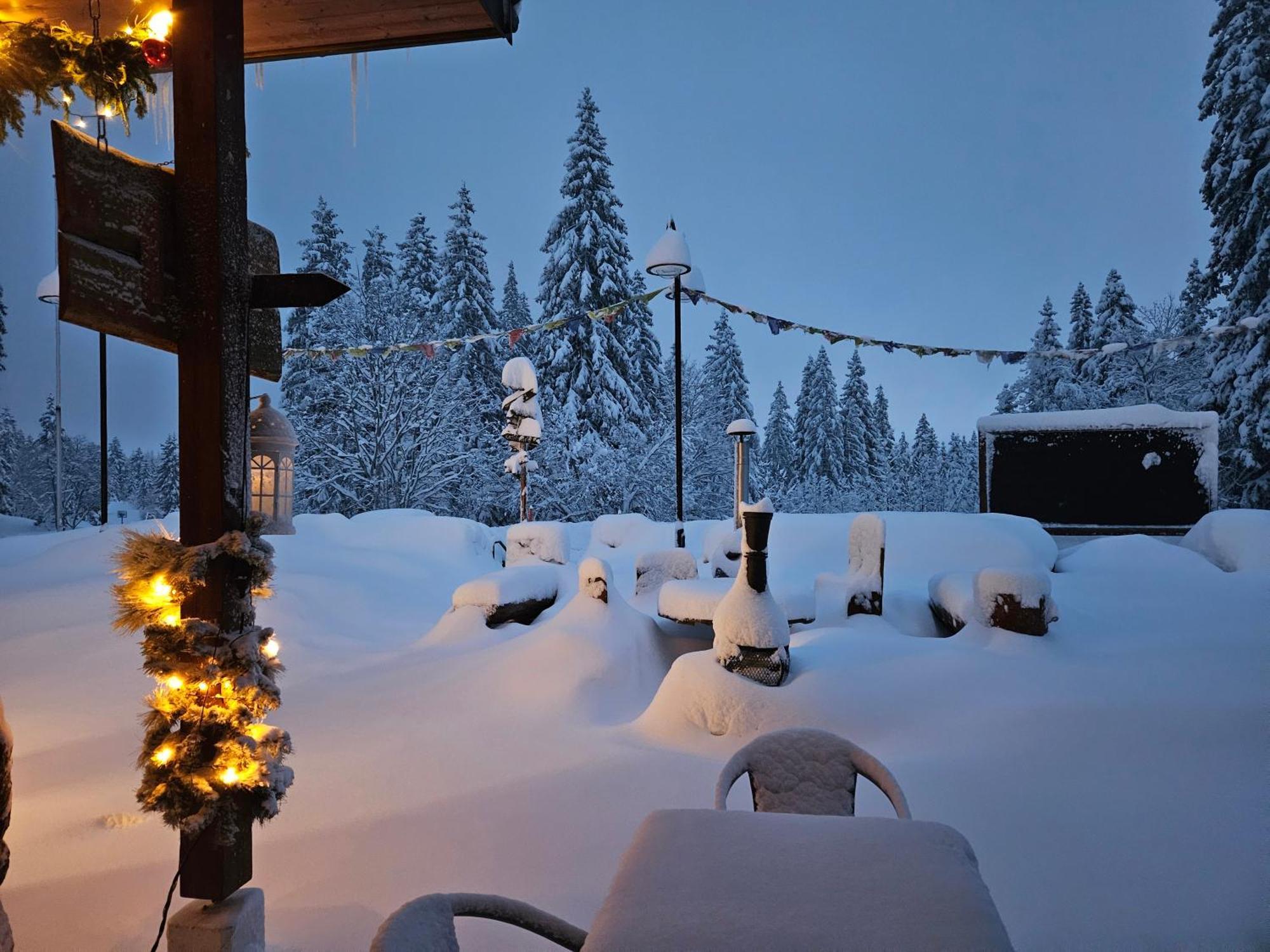 Hotel Restaurant Du Marchairuz ル・ブラシュ エクステリア 写真